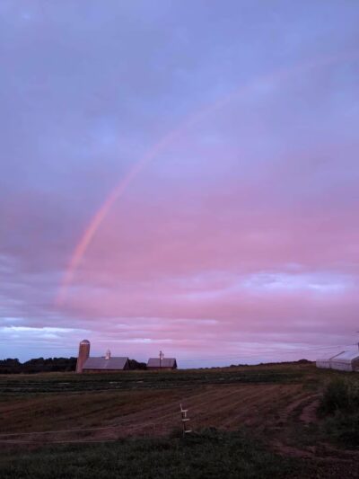 Good Dog Farm - Upperco, MD