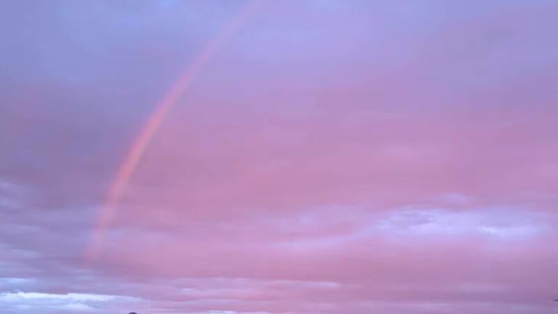 Good Dog Farm - Upperco, MD