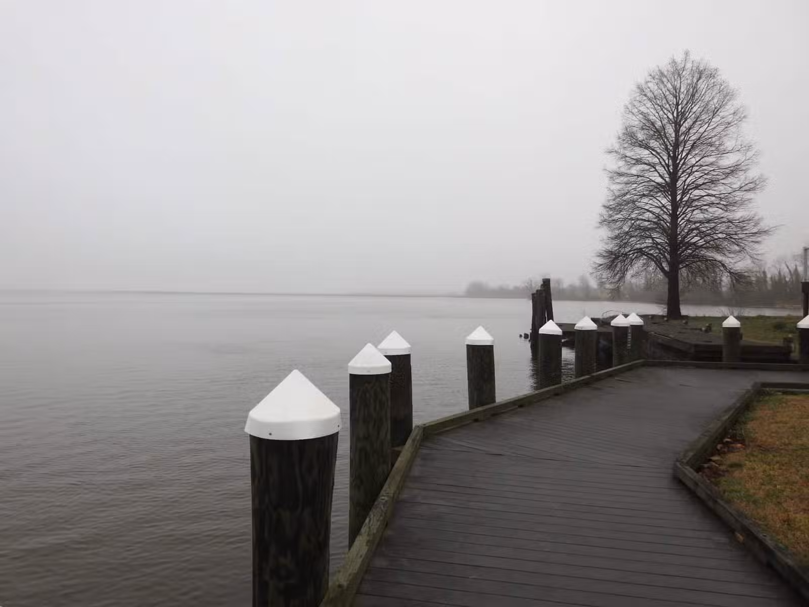Vienna Waterfront Park - Vienna, MD