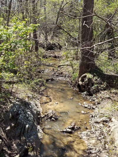 Goode Park - Vinton, VA