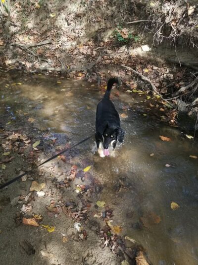 Goode Park - Vinton, VA