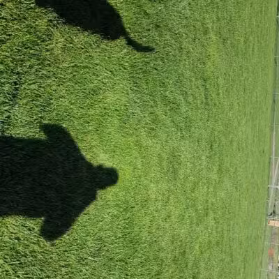 Goode Park - Vinton, VA