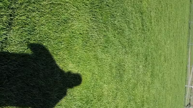 Goode Park - Vinton, VA