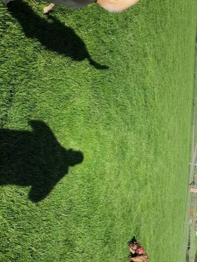 Goode Park - Vinton, VA