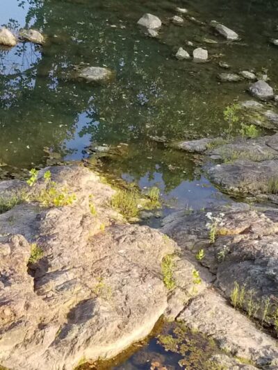 M. A. Banks Basketball Court - Vinton, VA