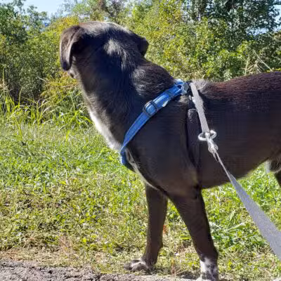 Stewart Knob Overlook - Vinton, VA