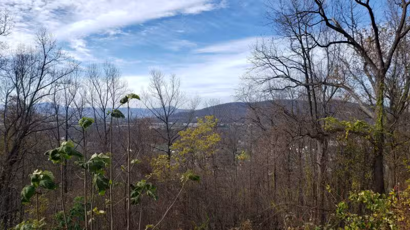 Stewart Knob Overlook - Vinton, VA