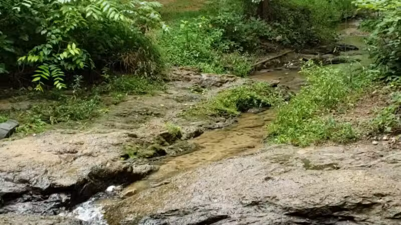 Stonebridge Park - Vinton, VA