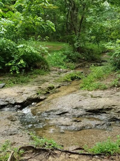 Stonebridge Park - Vinton, VA