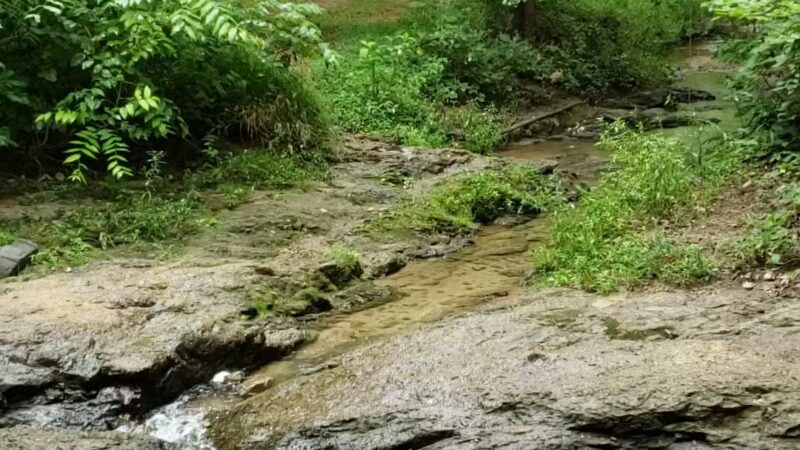Stonebridge Park - Vinton, VA