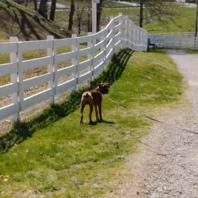 Wolf Creek Greenway - Vinton, VA