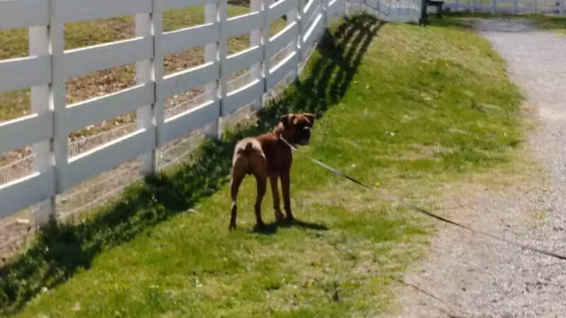 Wolf Creek Greenway - Vinton, VA