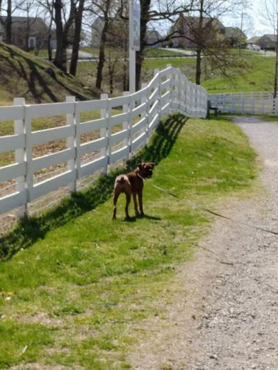 Wolf Creek Greenway - Vinton, VA