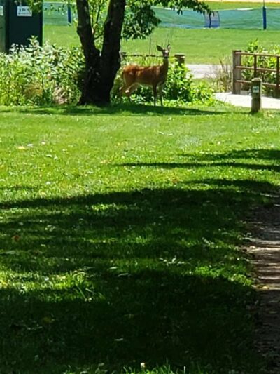 Wolf Creek Greenway Trailhead - Vinton, VA