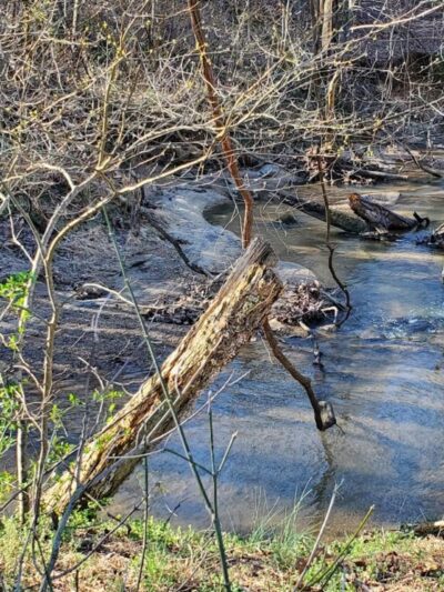 Wolf Creek Greenway Trailhead - Vinton, VA