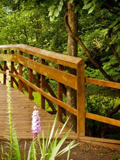Wolf Creek Greenway Trailhead - Vinton, VA
