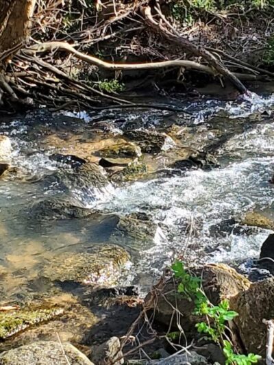 Wolf Creek Greenway Trailhead - Vinton, VA