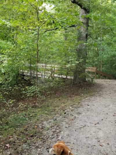 Wolf Creek Greenway - Vinton, VA
