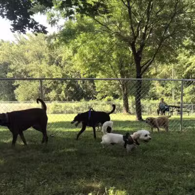 WABASHA DOG PARK - Wabasha, MN