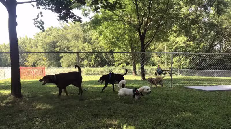 WABASHA DOG PARK - Wabasha, MN