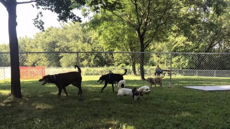 WABASHA DOG PARK - Wabasha, MN