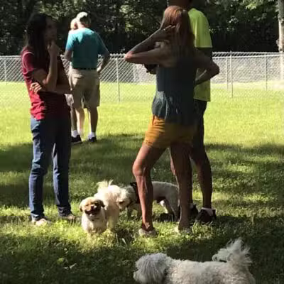 WABASHA DOG PARK - Wabasha, MN