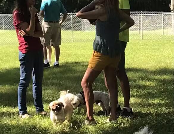 WABASHA DOG PARK - Wabasha, MN
