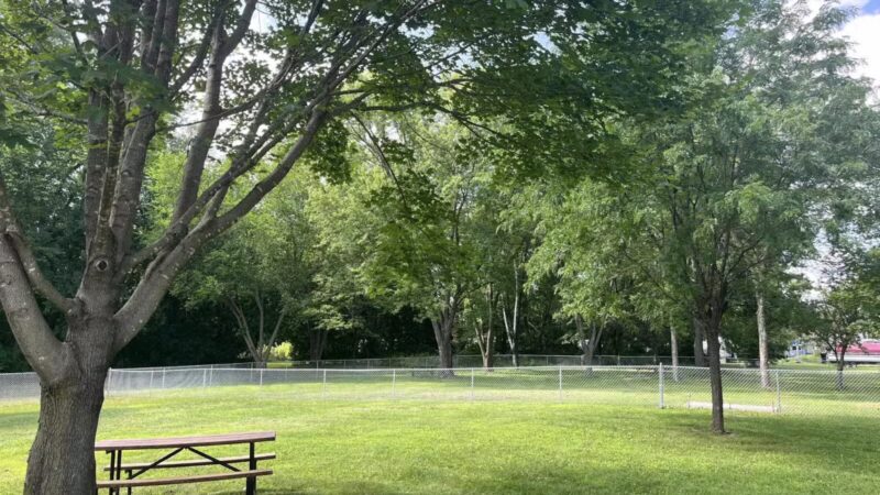 WABASHA DOG PARK - Wabasha, MN