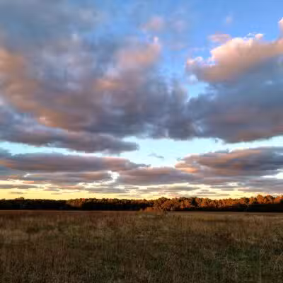 Veterans Memorial Park - Wading River, NY