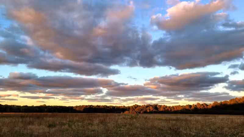 Veterans Memorial Park - Wading River, NY