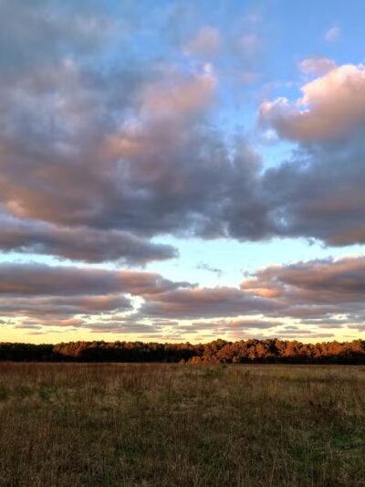 Veterans Memorial Park - Wading River, NY