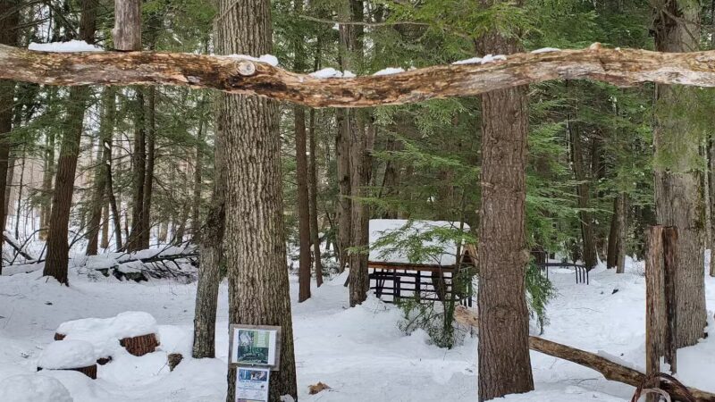 Distant Hill Gardens - Open third weekend in May _ First & third weekend June - Sept. _ First weekend in Oct. - Walpole, NH