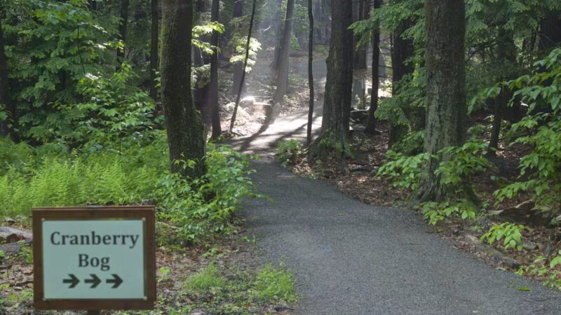 Distant Hill Gardens - Open third weekend in May _ First & third weekend June - Sept. _ First weekend in Oct. - Walpole, NH