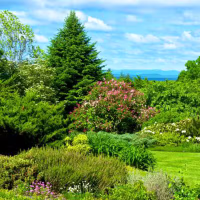 Distant Hill Gardens - Open third weekend in May _ First & third weekend June - Sept. _ First weekend in Oct. - Walpole, NH