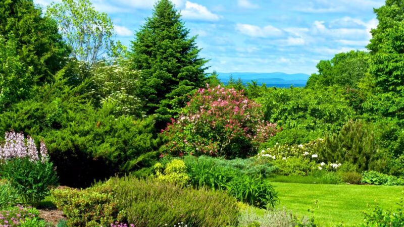 Distant Hill Gardens - Open third weekend in May _ First & third weekend June - Sept. _ First weekend in Oct. - Walpole, NH