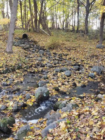 Waltham City Dog Ranch - Waltham, MA