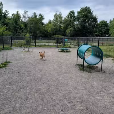 Waltham City Dog Ranch - Waltham, MA