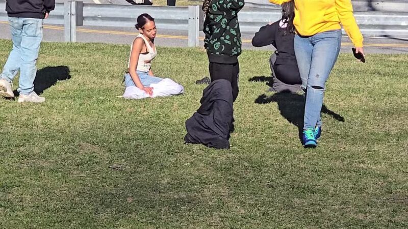 Waltham City Dog Ranch - Waltham, MA