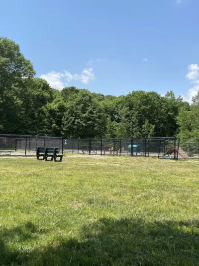 Waltham City Dog Ranch - Waltham, MA