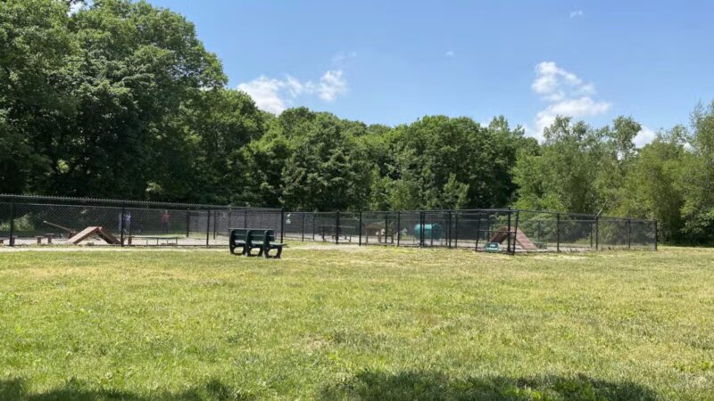 Waltham City Dog Ranch - Waltham, MA