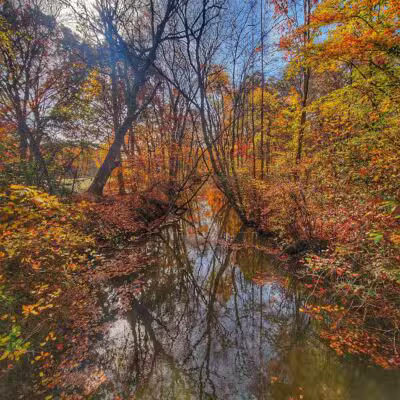 Mill Pond Park and Adam D Rand Memorial Trail - Wantagh, NY