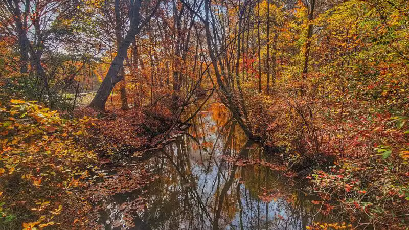 Mill Pond Park and Adam D Rand Memorial Trail - Wantagh, NY