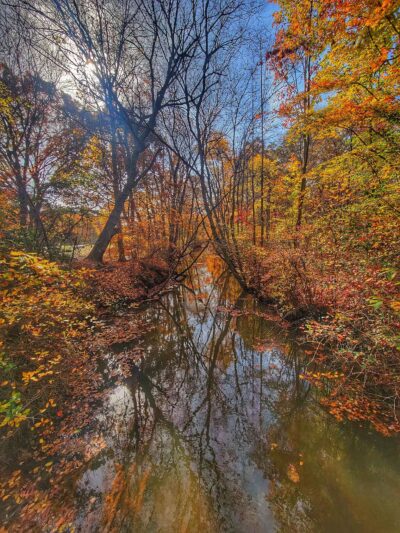 Mill Pond Park and Adam D Rand Memorial Trail - Wantagh, NY