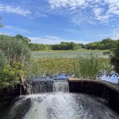 Mill Pond Park and Adam D Rand Memorial Trail - Wantagh, NY