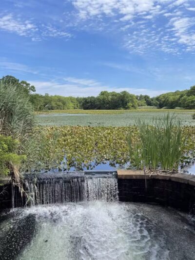Mill Pond Park and Adam D Rand Memorial Trail - Wantagh, NY