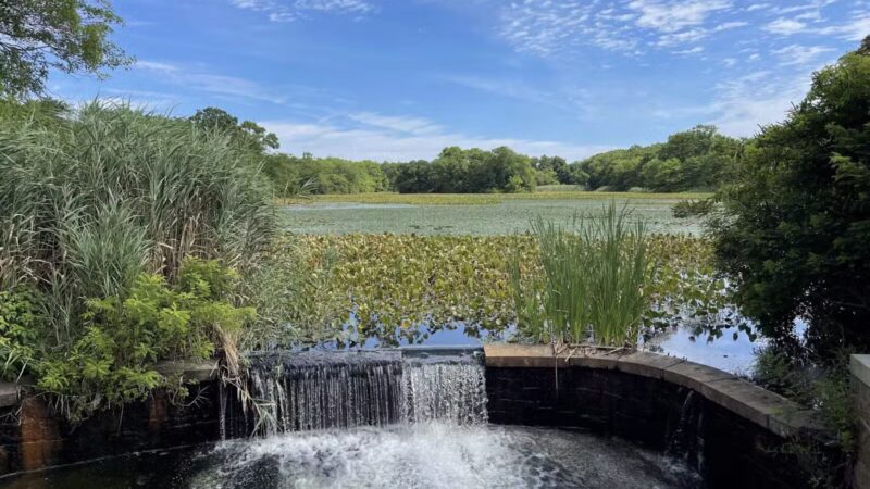 Mill Pond Park and Adam D Rand Memorial Trail - Wantagh, NY