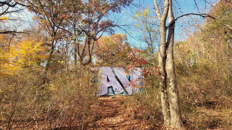 Mill Pond Park and Adam D Rand Memorial Trail - Wantagh, NY