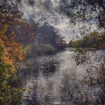 Mill Pond Park and Adam D Rand Memorial Trail - Wantagh, NY