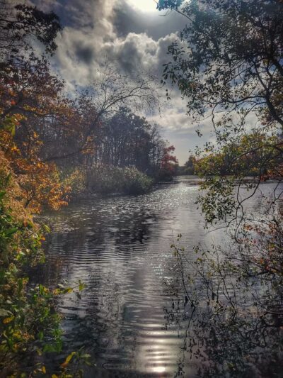 Mill Pond Park and Adam D Rand Memorial Trail - Wantagh, NY