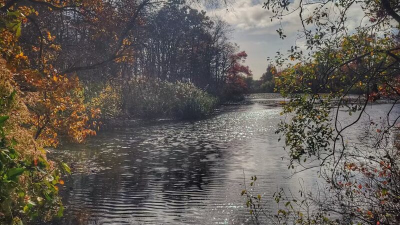 Mill Pond Park and Adam D Rand Memorial Trail - Wantagh, NY